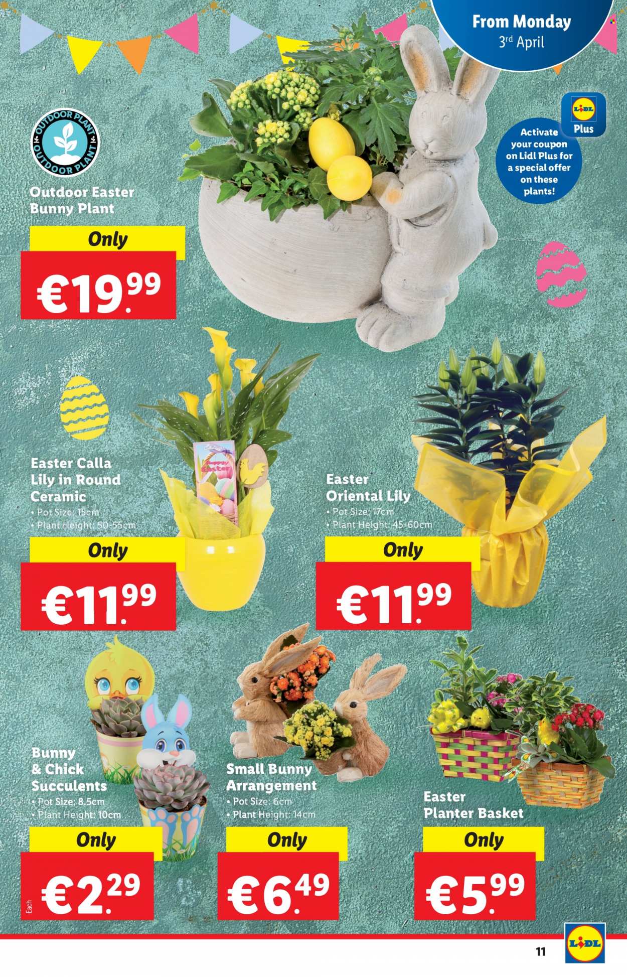 Lidl offer . Page 11.