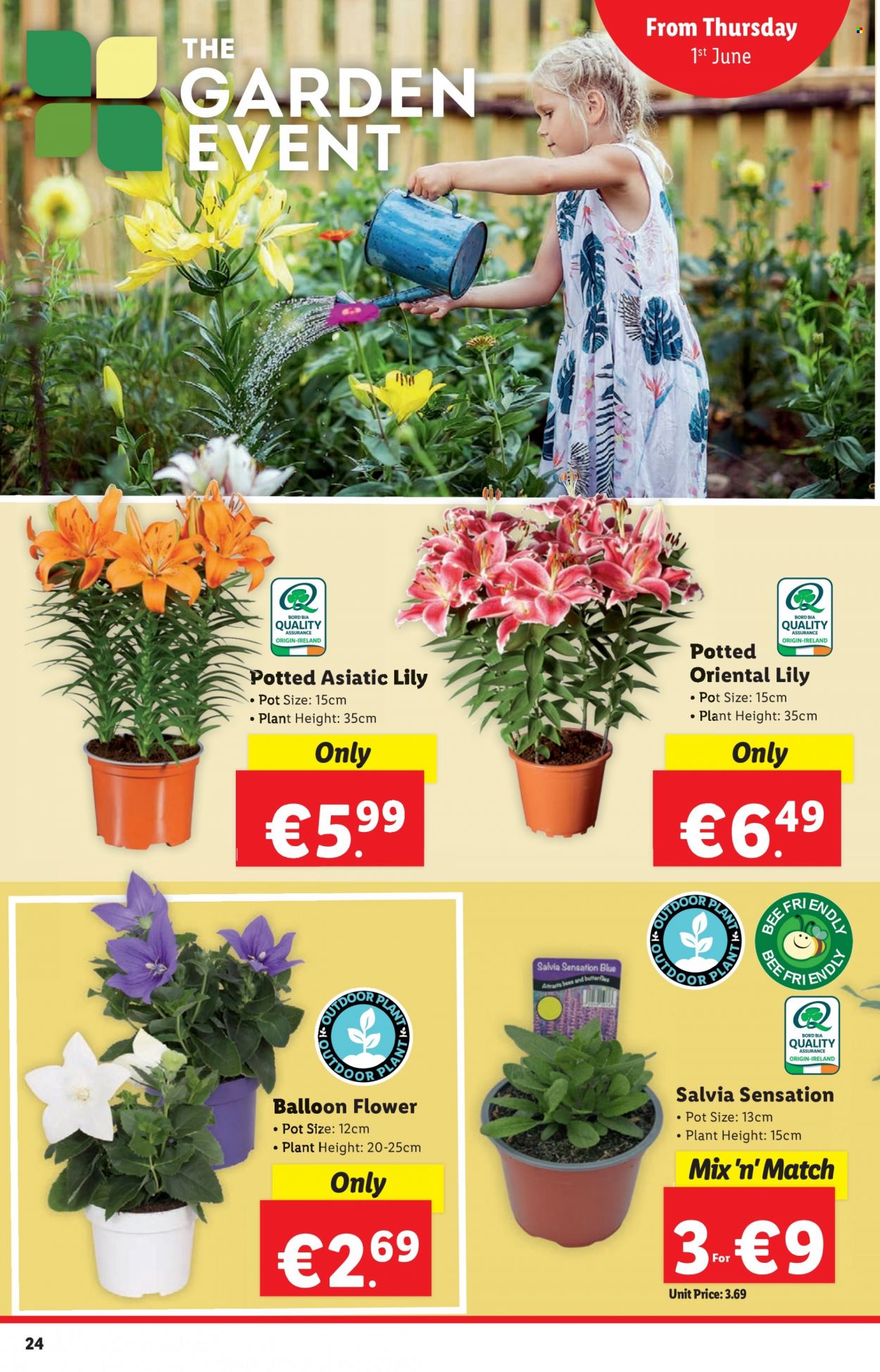 Lidl offer  - 1.6.2023 - 7.6.2023. Page 24.