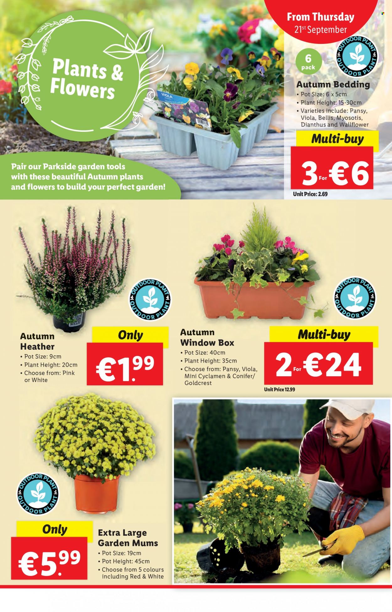 Lidl offer  - 21.9.2023 - 27.9.2023. Page 28.
