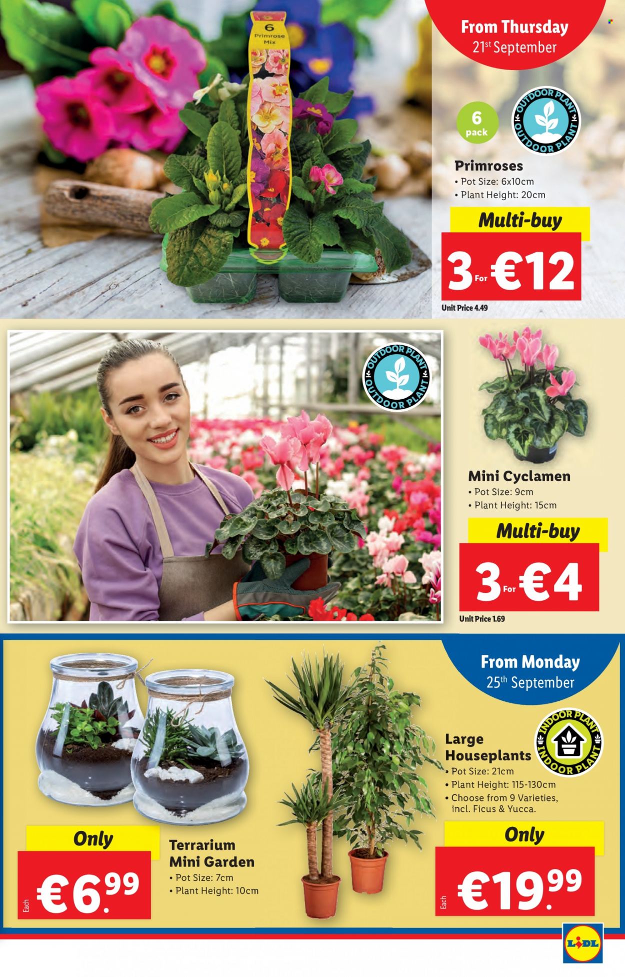 Lidl offer  - 21.9.2023 - 27.9.2023. Page 29.