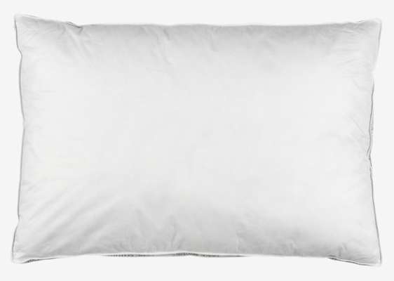 Duck feather pillow 50x70/75x3 NOTODDEN