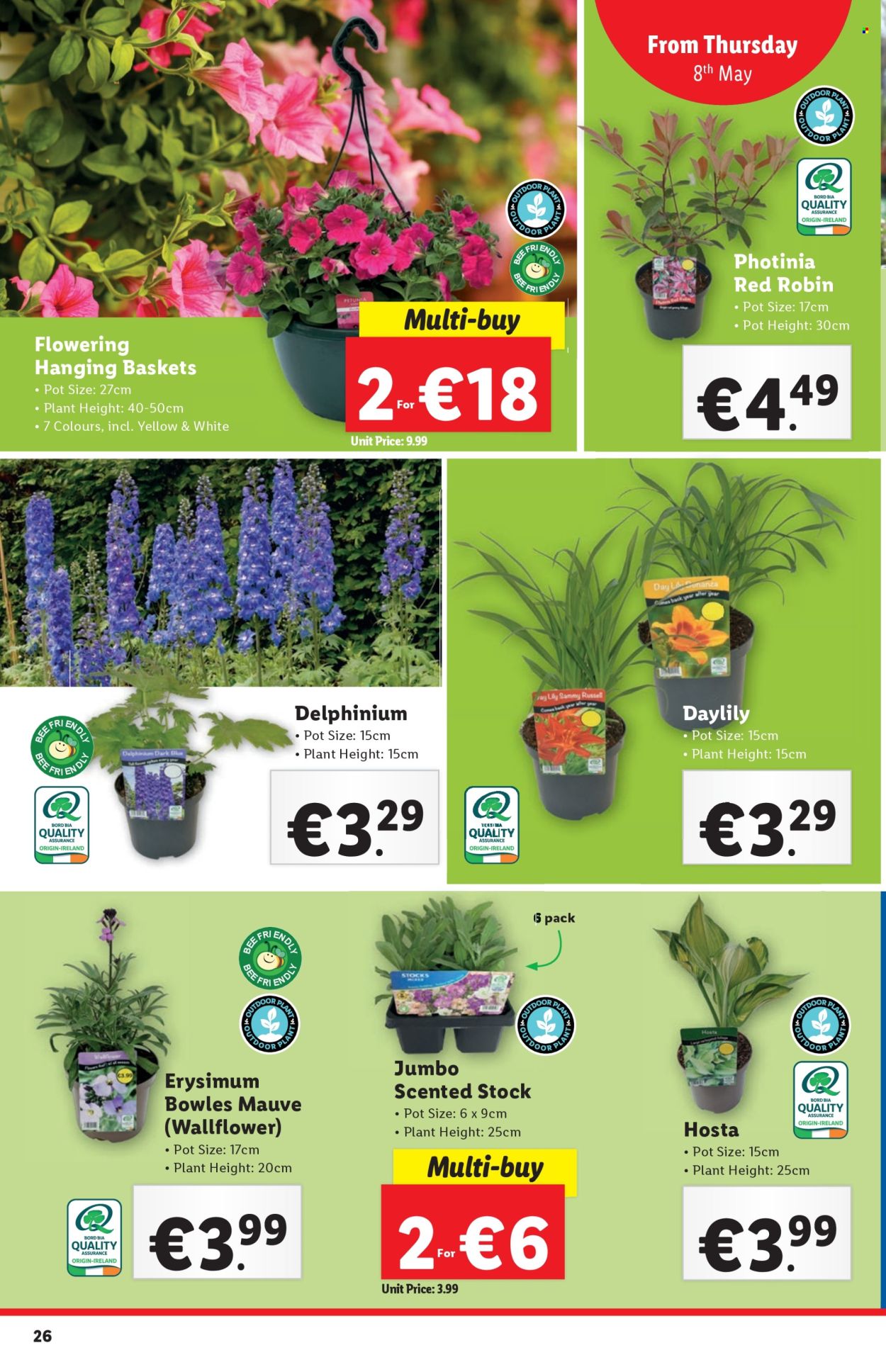Lidl offer - 8.5.2025 - 14.5.2025.