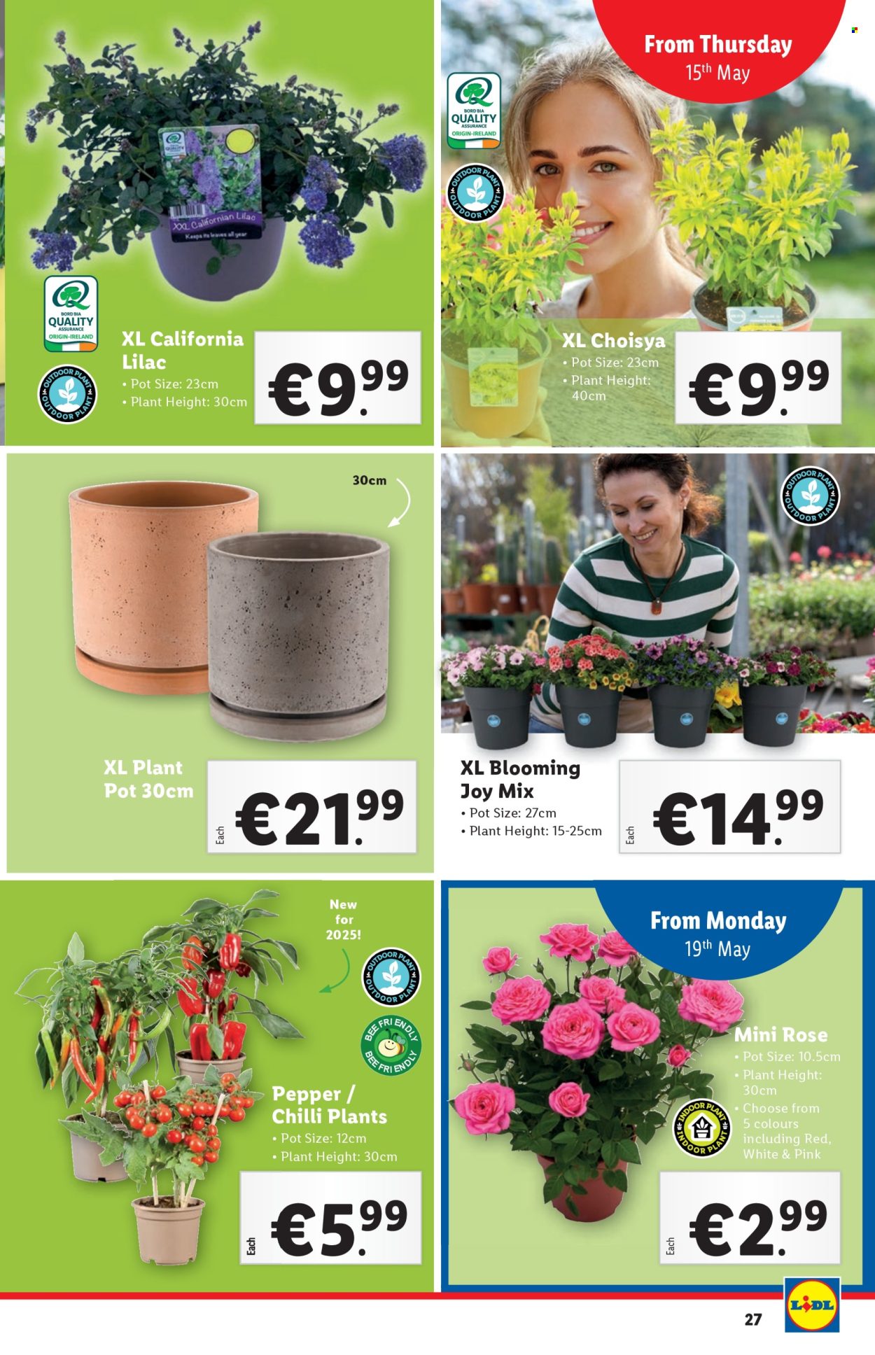 Lidl offer - 15.5.2025 - 21.5.2025.