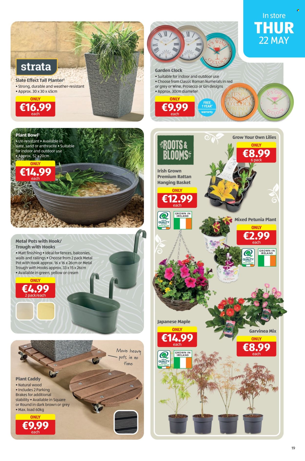 Aldi offer - 22.5.2025 - 25.5.2025.