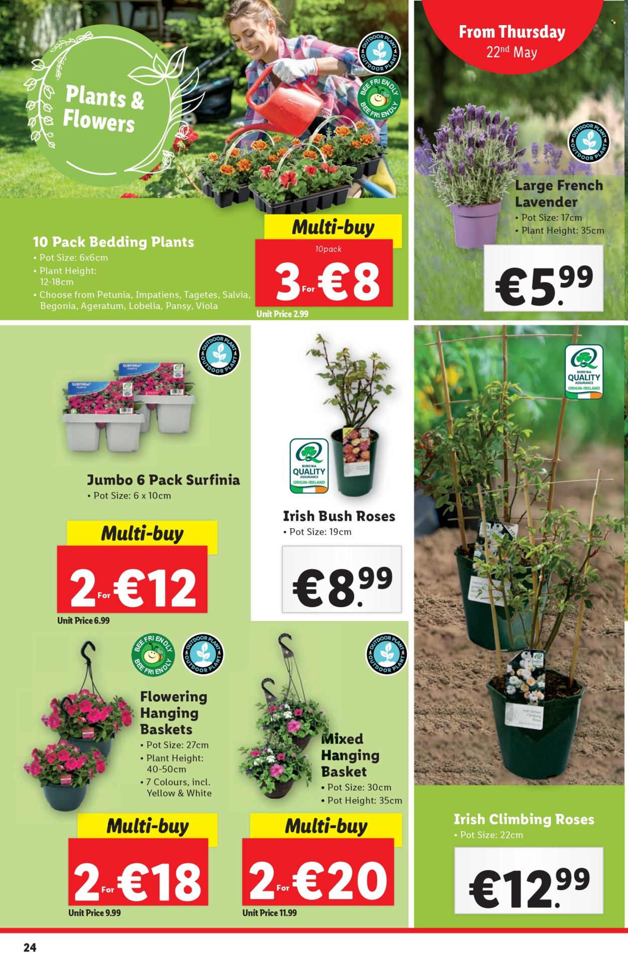 Lidl offer - 22.5.2025 - 28.5.2025.