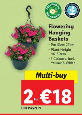 Flowering Hanging Baskets