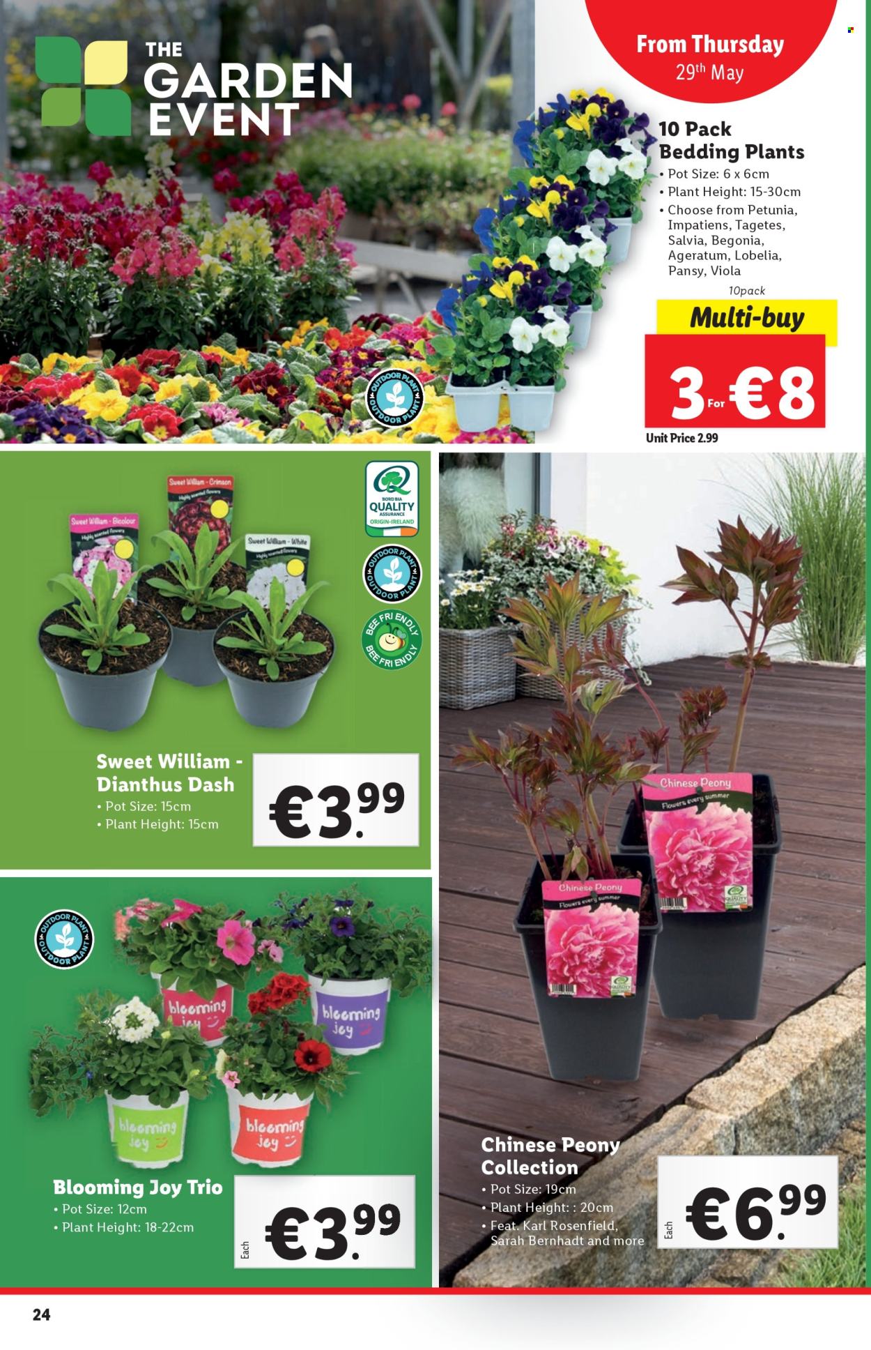 Lidl offer - 29.5.2025 - 4.6.2025.