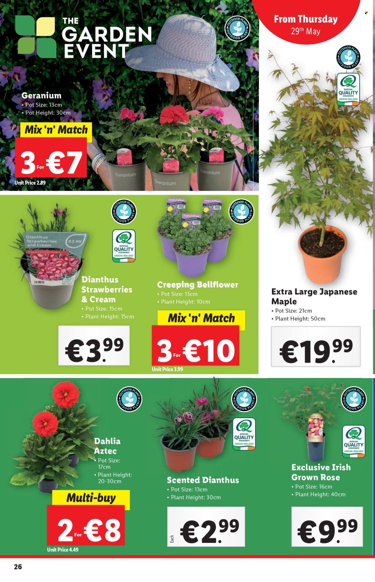 Lidl offer - 29.5.2025 - 4.6.2025.