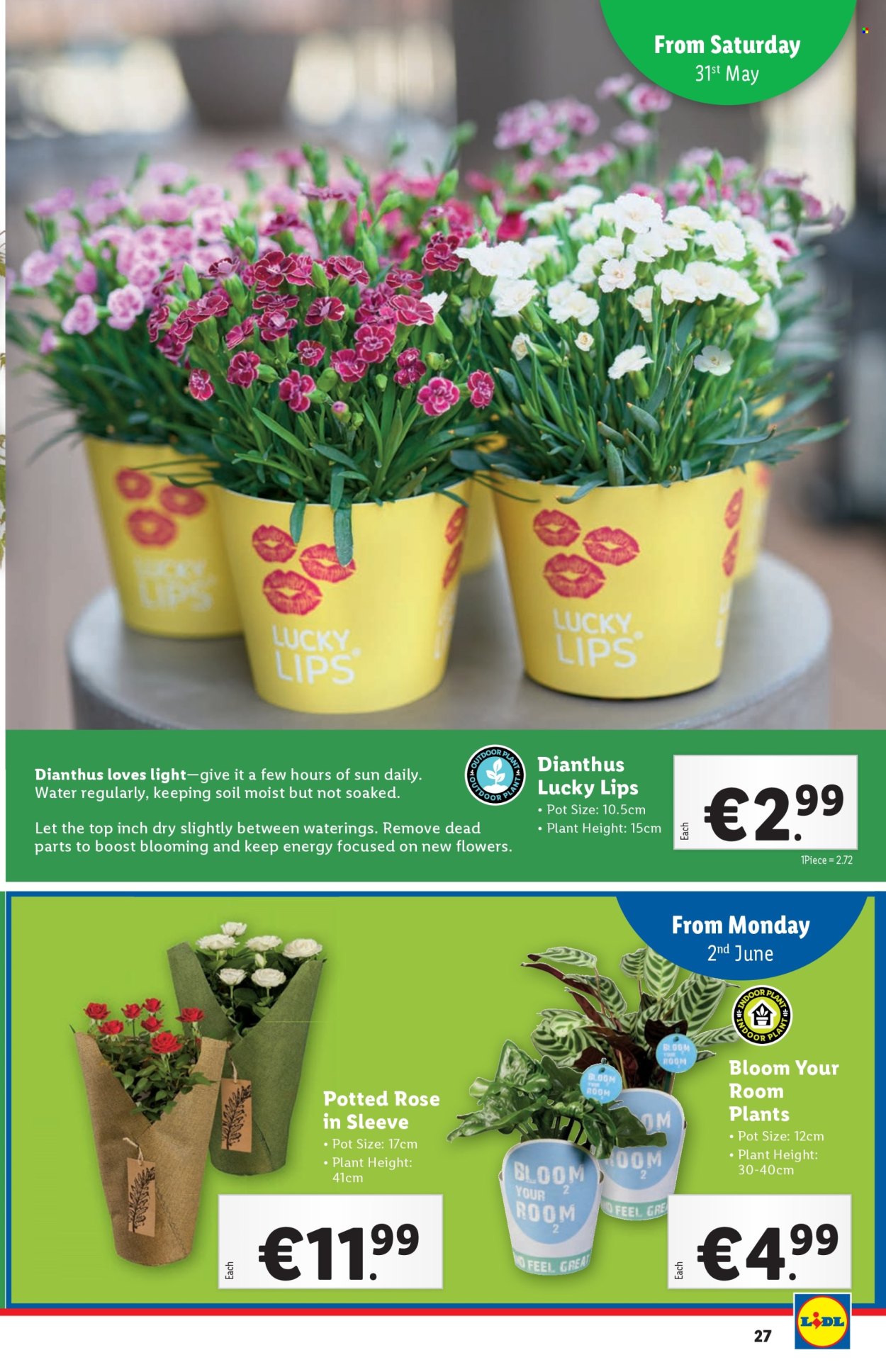 Lidl offer - 29.5.2025 - 4.6.2025.