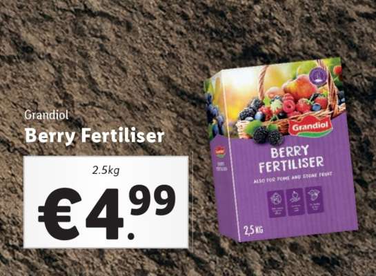 Grandiol Berry Fertiliser