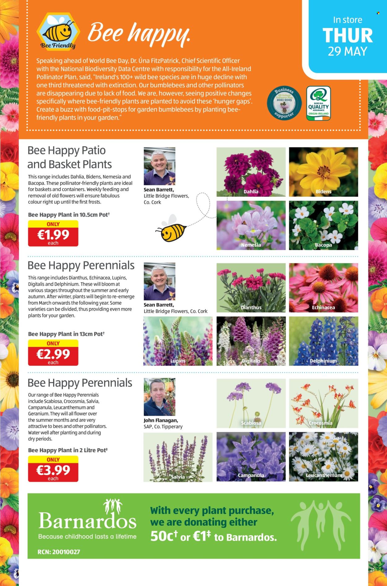 Aldi offer - 29.5.2025 - 1.6.2025.