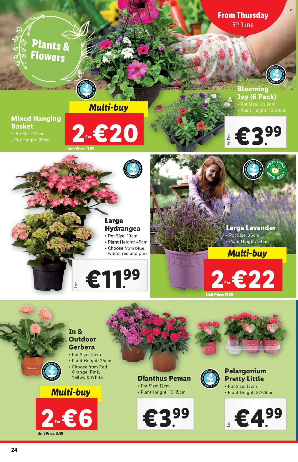 Lidl offer - 5.6.2025 - 11.6.2025.