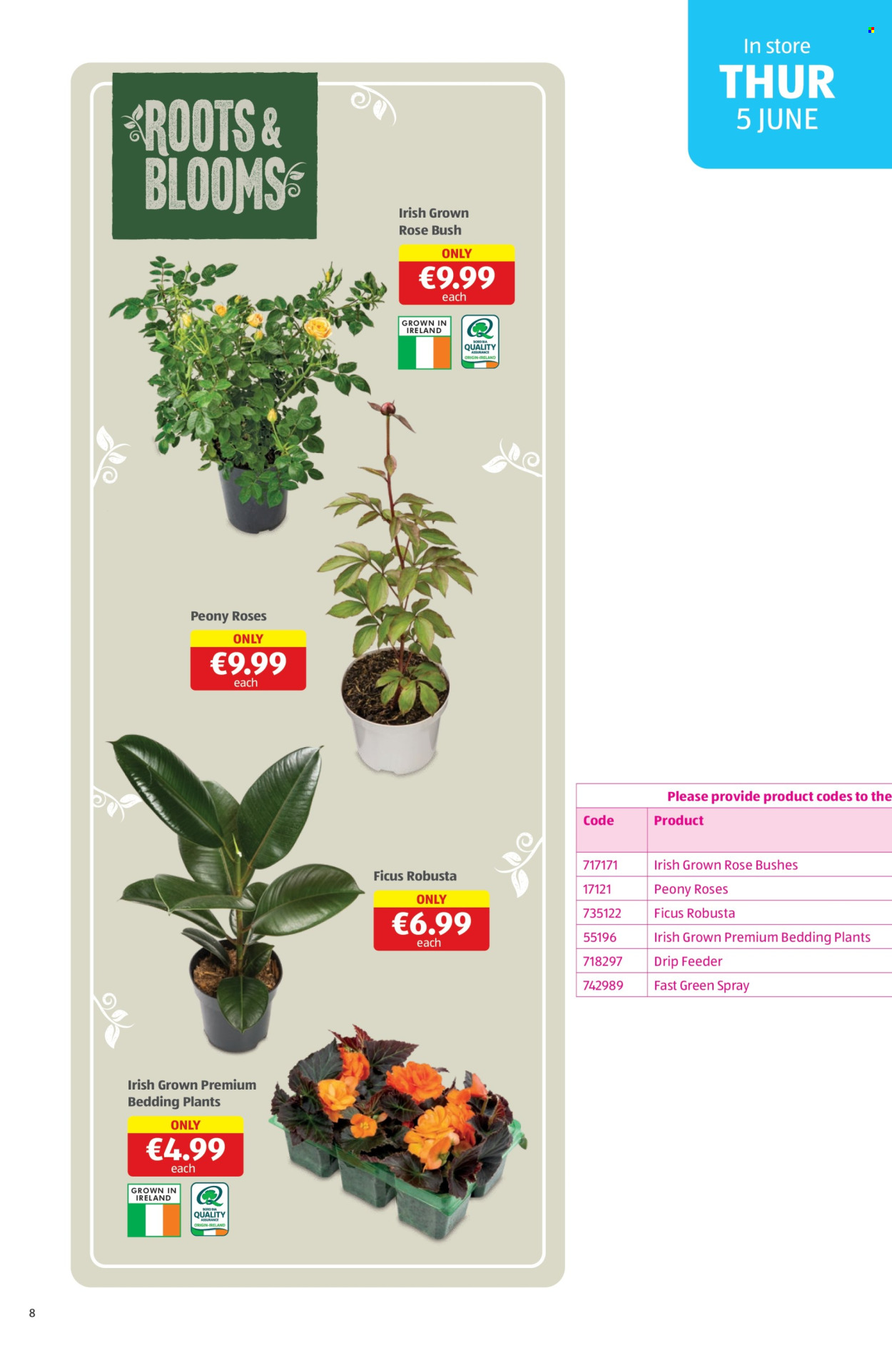 Aldi offer - 5.6.2025 - 8.6.2025.