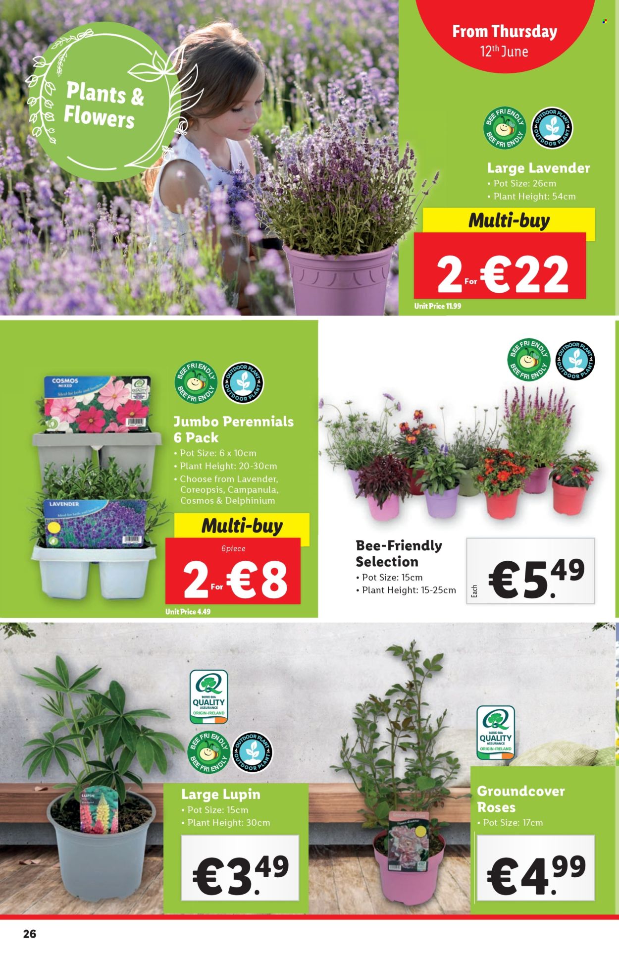 Lidl offer - 12.6.2025 - 18.6.2025. Page 26