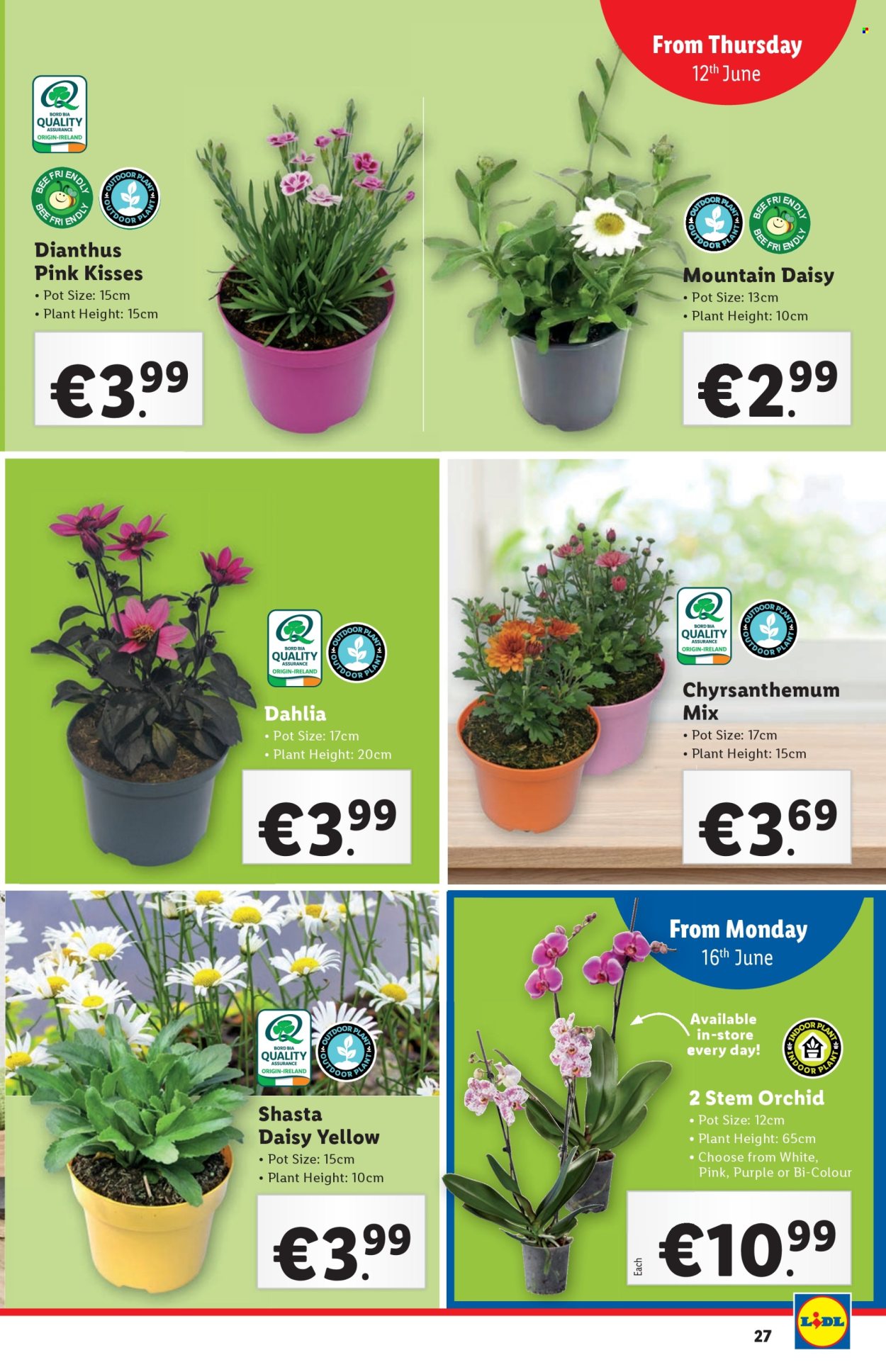 Lidl offer - 12.6.2025 - 18.6.2025. Page 27