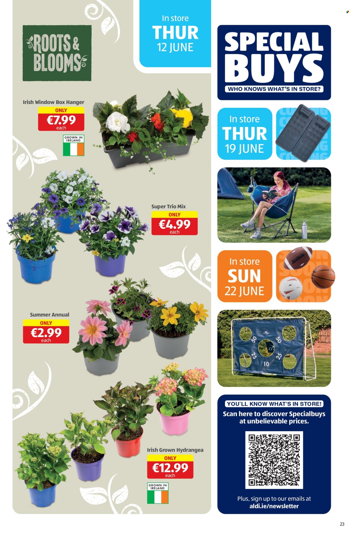Aldi offer - 12.6.2025 - 15.6.2025. Page 23