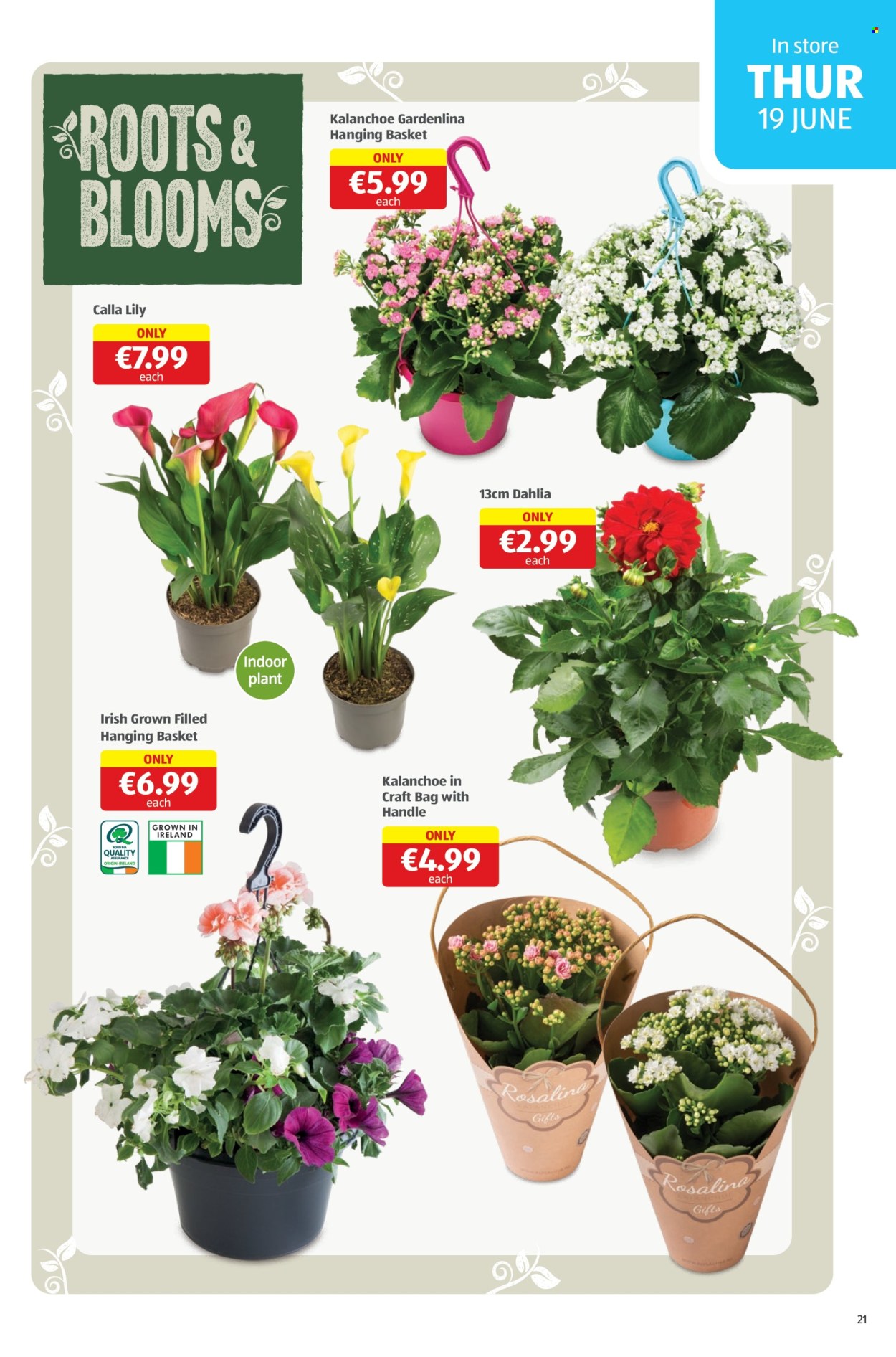 Aldi offer - 19.6.2025 - 22.6.2025. Page 21