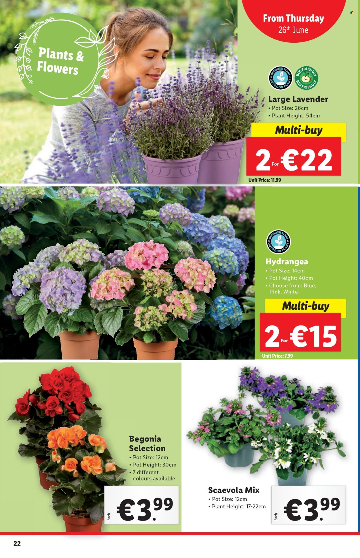 Lidl offer - 26.6.2025 - 2.7.2025. Page 22