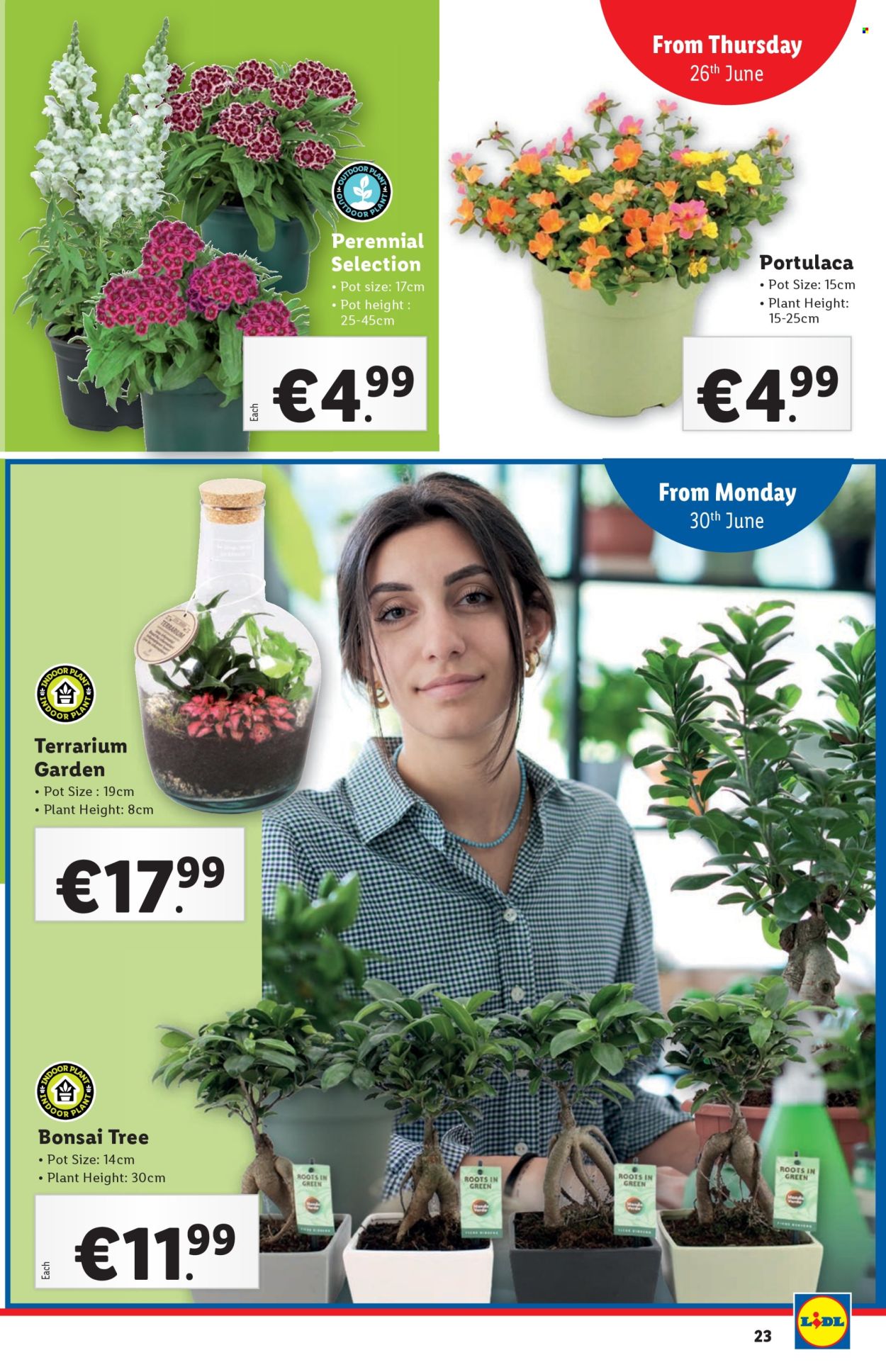 Lidl offer - 26.6.2025 - 2.7.2025. Page 23