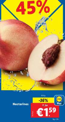 Nectarines
