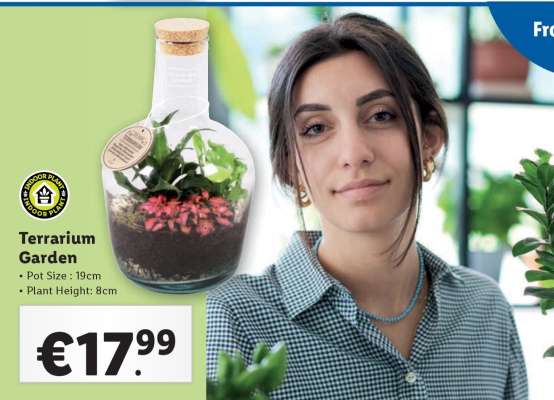 Terrarium Garden
